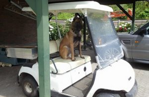 11011060 1621793301371195 7751808356262176945 n