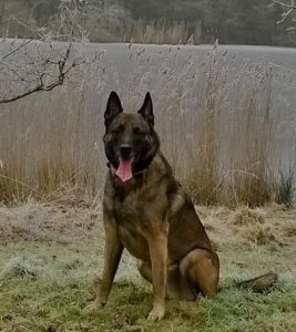 11024788 10153143082224467 7475719760112854300 n