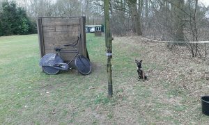 11081411 675824642544722 8789523221154864836 n