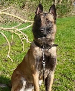 11143086 1622267961323729 8625237334662359230 n