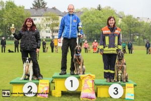 11150656 449001615255839 7802718278886861095 n