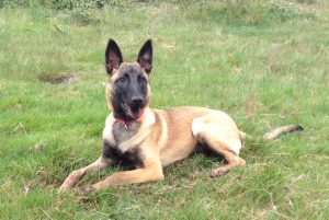 11151072 389468367906922 8170278850988520953 n (1)