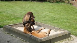 11180273 1619351394948719 280766456 n 1