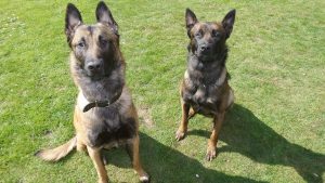 11195297 1619350514948807 759627929 n 1