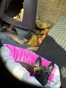 11207276 928626900615181 2005869143837538755 n