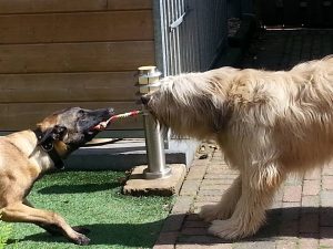 11214271 872671192825175 3994552566714276931 n