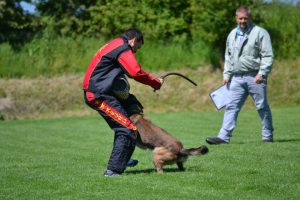 11221716 736018606509278 172405352547814890 n