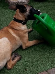 11225352 829621643796797 1348208972770801127 n