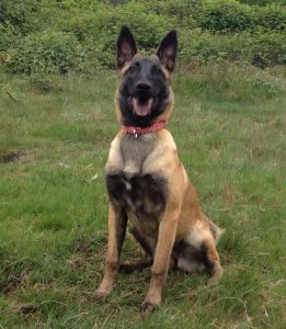 11249402 389468634573562 7044772701455837123 n 1 (1)