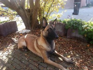 11251852 1000099633366272 5121167877293811265 n