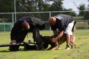 1150351 186560111522933 1338442095 n