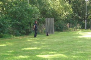 11538957 10200967307142704 6615329466834009286 o