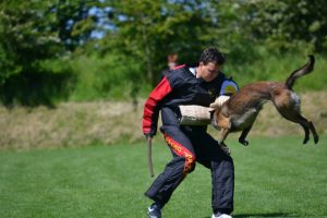 11539610 736018416509297 244965168589523660 n