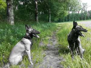 11541965 854215928004035 8237038806744713895 n