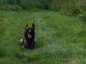 1157670 418427548268387 1673090950 n