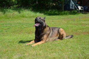 1170924 186560308189580 1225779329 n