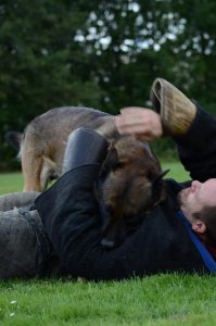 1175353 186560934856184 1856609788 n