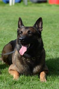 1175380 186560204856257 1778624985 n