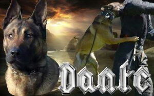 11794330 914149651990482 8660923220150880209 o