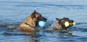 11834743 1647630578787467 3575043359569043614 o