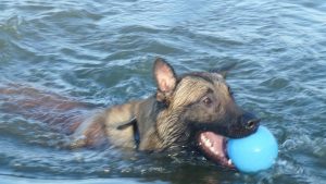 11846568 1647630618787463 8674523272495351345 n