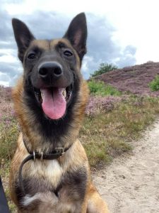 118486028 3272160606237421 3668138327059311383 n