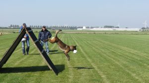 11878975 762831657161306 628358764009243951 o