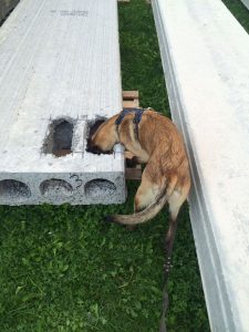 11952049 944708738925730 318932600028858316