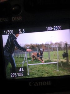 11988281 937953296275328 6044917443951860210 n