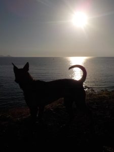 11990456 853361214778806 6941085533508706501 n