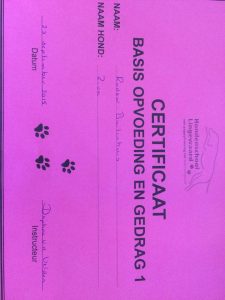 12006384 957260567670547 6526728799509442813 n