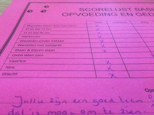 12046779 957260591003878 5757480522082561681 n