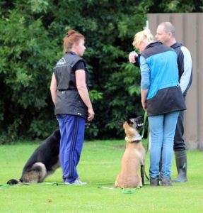 12079156 902319163193711 5400404511005798701 n