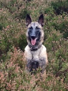 12108072 461188417401583 6899590929923971574 n (1)