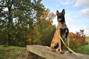 12186243 873042926143968 7924548560710780008 o