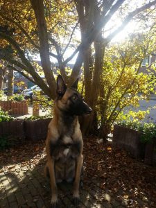 12191686 1000099650032937 15215375145594134 n