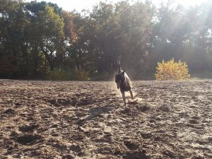 12191997 914352618657032 619758794720472523 n