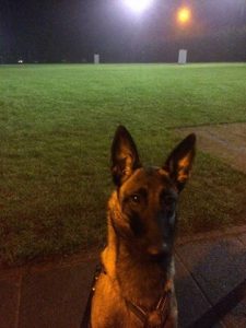 12227702 975419682521302 5450410036218456711 n