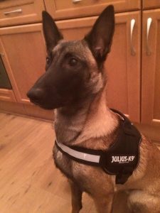 12235077 937953326275325 8291923504739384828 n