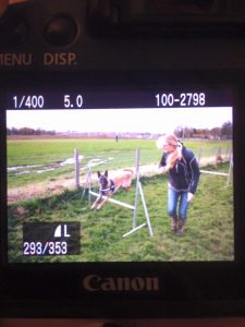 12240011 937953276275330 1062101324420057283 n