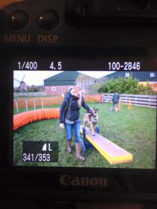 12240032 937953319608659 1641550785460151651 n