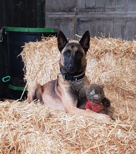 122776119 2766286403628610 7135005693869705762 o