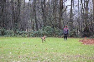 12301499 10201402364738872 3434332641234897027 n