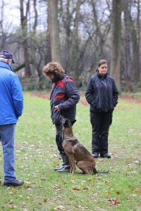 12313998 10201402364258860 3752282249853026811 n