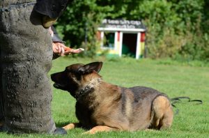 1234675 186560238189587 172856787 n