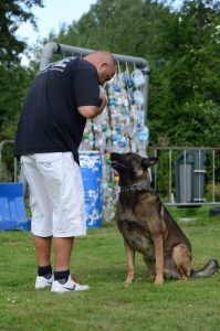 1234828 186560774856200 1252720669 n