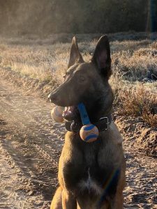 123592243 187340036251178 7716624489242231572 n