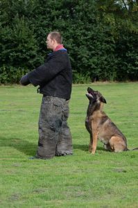 1236842 186560848189526 1826077414 n