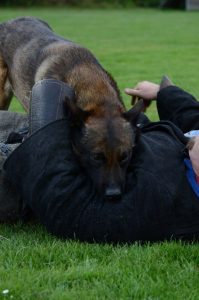 1236961 186560174856260 510314456 n