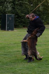 1236971 186560554856222 1450047441 n